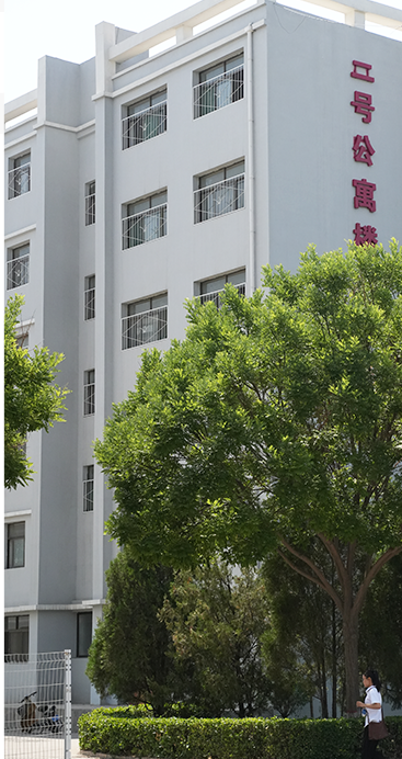 学校环境
